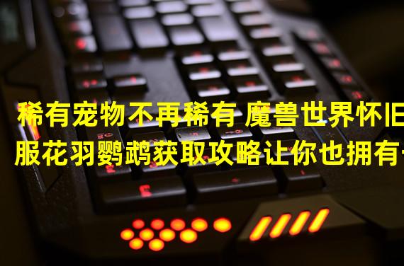 稀有宠物不再稀有 魔兽世界怀旧服花羽鹦鹉获取攻略让你也拥有一只